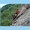 Cumiana 023.jpg